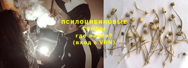 спайс Белокуриха