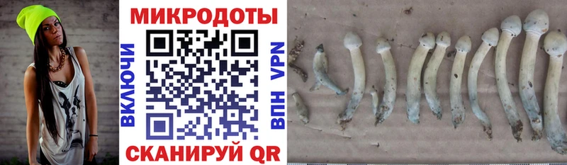 Псилоцибиновые грибы Magic Shrooms  дарнет шоп  кракен ссылки  Киров 